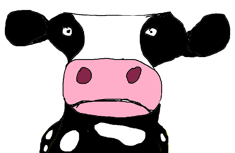 confused cow